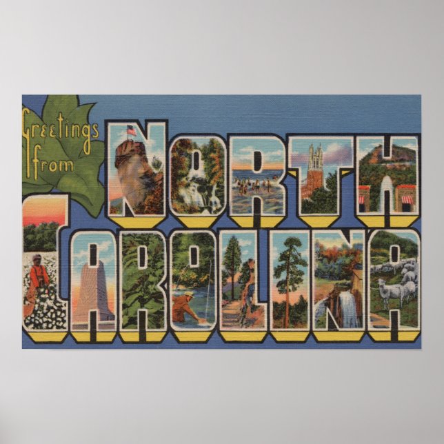 Affiches Caroline du Nord (Capitale nationale/Fleur) (Devant)