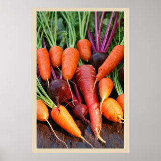 Affiches Carotte et racine de betterave