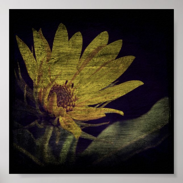 Affiches Carré fleur sauvage (Devant)