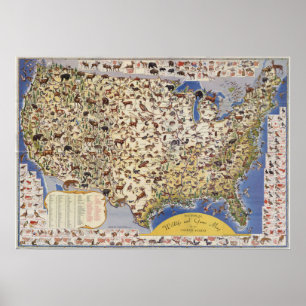 Affiches Carte de faune et de jeu des Etats-Unis