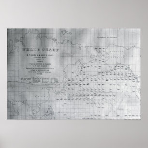 Affiches Carte des baleines du Pacifique Nord, 1851