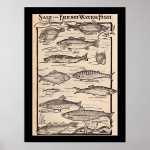 Affiches Carte des poissons d'art vintage frais et salés