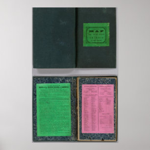 Affiches Carte du comté de Railroadand de Colton,
