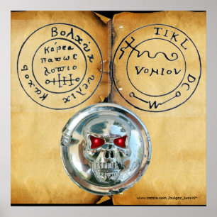 AFFICHES CARTE DU TRÉSOR DE CHROME SKULT ET PIRATES ANCIENS