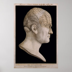 Affiches Carte phréologique du Dr Spurzheim
