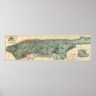 Affiches Carte sanitaire et topographique de New York City