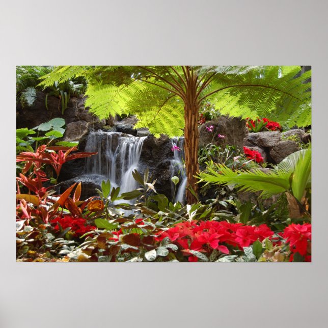 Affiches Cascade (Devant)