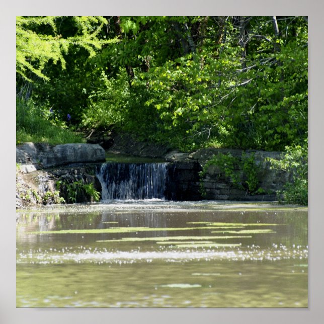 Affiches cascade (Devant)