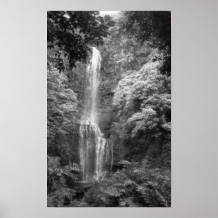 Affiches Cascade de Hana