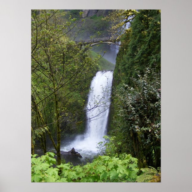 Affiches Cascade de Multnomah (Devant)