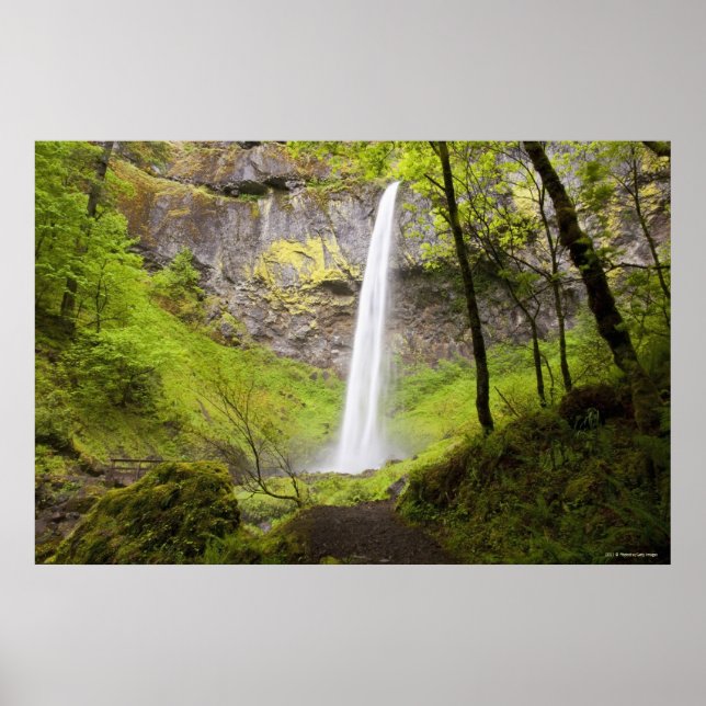 Affiches Cascade floue autour de verdure luxuriante en Oreg (Devant)