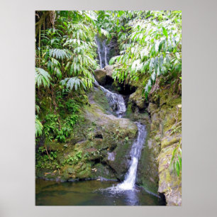 Affiches Cascade hawaïenne