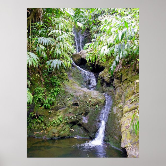 Affiches Cascade hawaïenne (Devant)