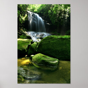Affiches Cascade luxuriante de forêt tropicale au soleil