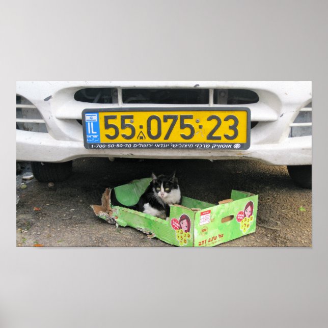 Affiches Case 1 (Devant)