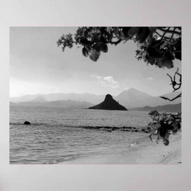 Affiches Casquette chinois _bw (Devant)