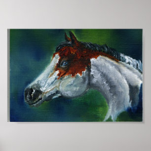 Affiches Casquette de médecine Pinto Horse