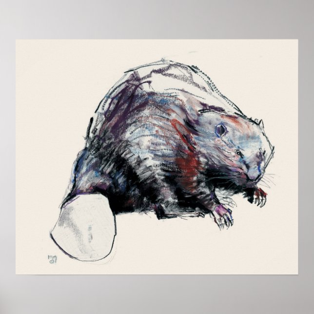 Affiches Castor Fibre 2001 (Devant)