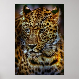 Affiches cat-301154 WILD BIG CAT LEOPARD PHOTOGRAPHIE ANIMA