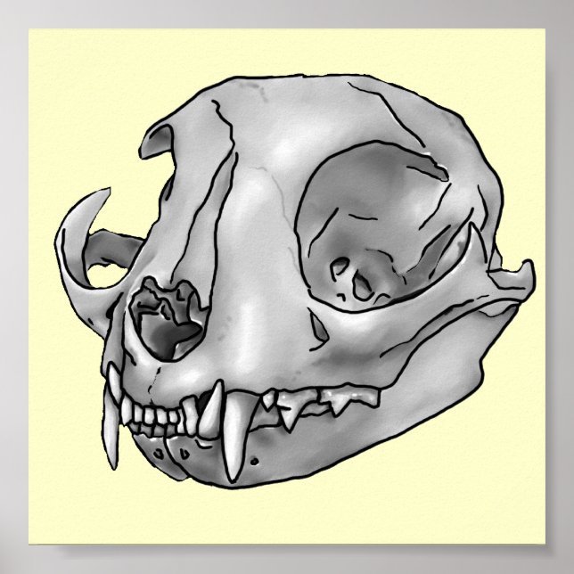 Affiches Cat skull (Devant)