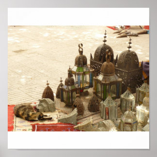 Affiches Cat Vs Lanterne