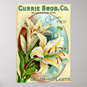 Affiches Catalogue vintage d'usine de Lilium