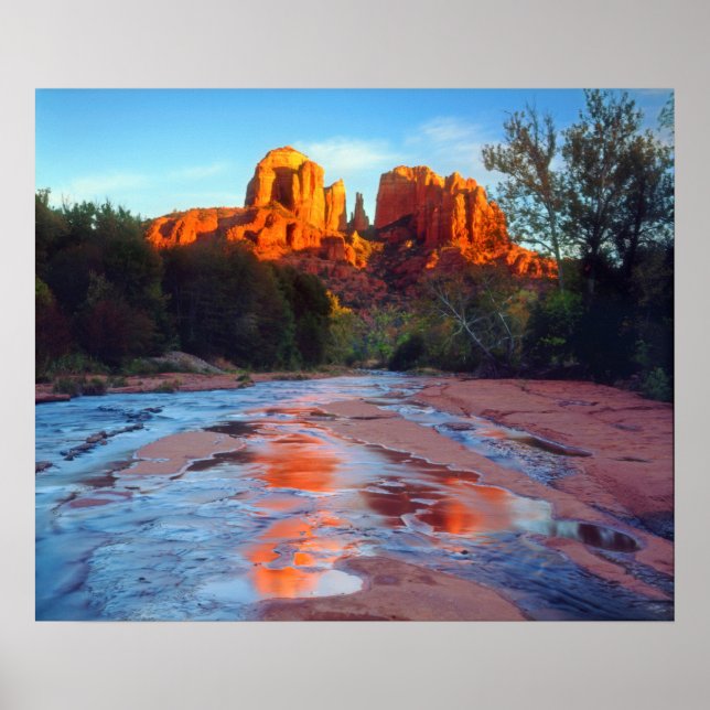 Affiches Cathedral Rock reflecting in Oak Creek at Sunset (Devant)