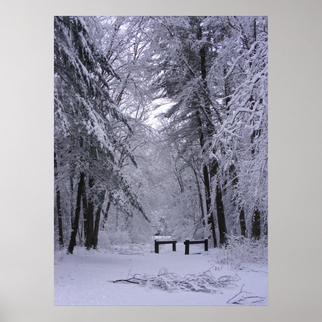 Affiches Cathédrale de glace 2 ~ imprimer (Devant)