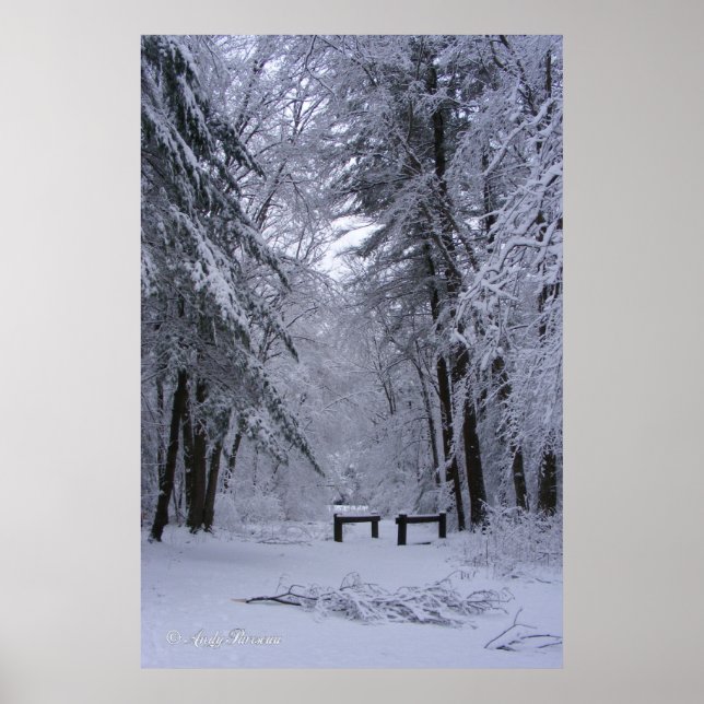 Affiches Cathédrale de glace ~ imprimer (Devant)