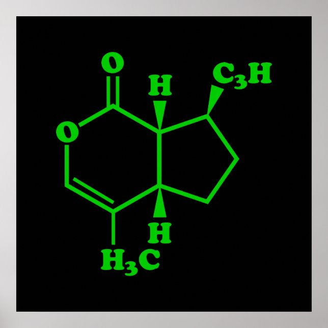 Affiches Catnip Nepetalactone Formule chimique moléculaire (Devant)
