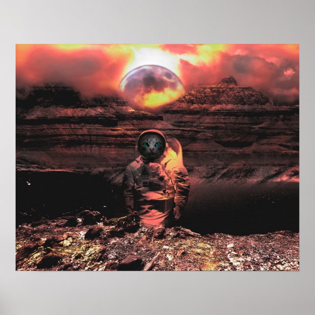 Affiches Catstronaut (Devant)