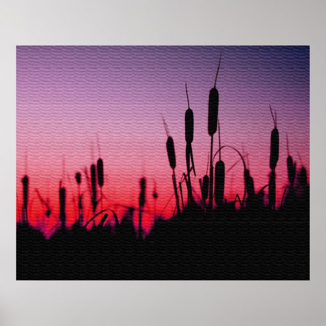 Affiches Cattails au coucher du soleil (Devant)