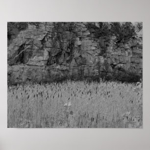 Affiches Cattails de mur de carrière de roche 1 copie