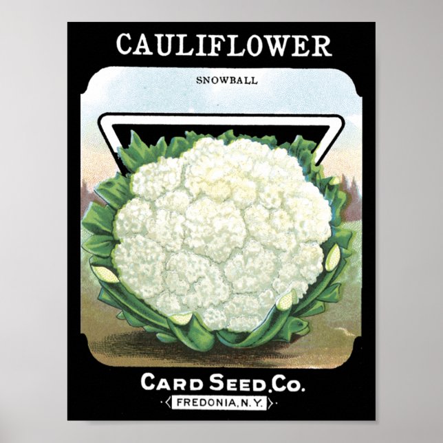 Affiches Cauliflower Card Seed Co. packet Fredonia, NY (Devant)