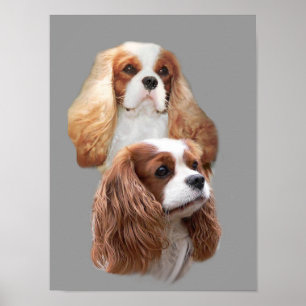 Affiches Cavalier King Charles Spaniel Jolies filles Imprim