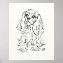 Cavalier roi charles imprimé spaniel | dessin