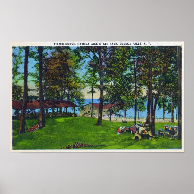 Affiches Cayuga Lake State Park Scene (Devant)