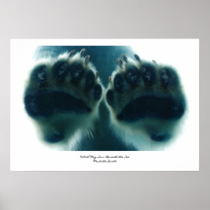 Affiches Ce qu'elles ont vu sous la glace