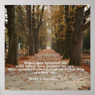 Affiches "Ce qui se trouve en nous"