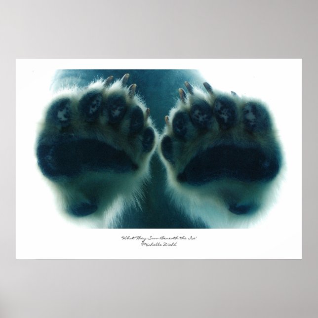 Affiches Ce qu'ils ont vu sous la glace (Devant)