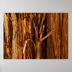 Affiches Cèdre texturé en écorce de bois