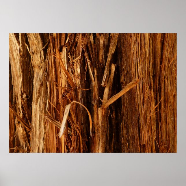 Affiches Cèdre texturé en écorce de bois (Devant)