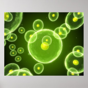 Affiches Cells 2
