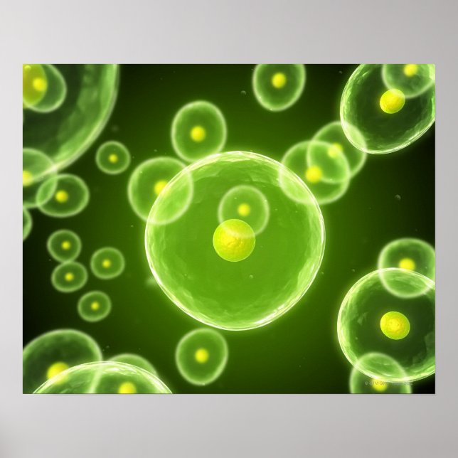 Affiches Cells 2 (Devant)