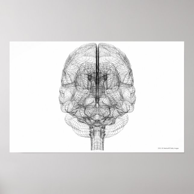 Affiches Cellule filaire du cerveau (Devant)