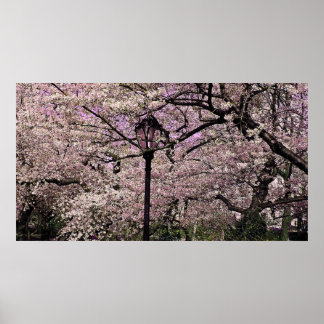 Affiches Central Park