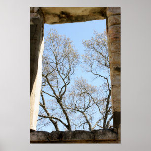 Affiches Central Texas View