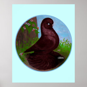 Affiches Cercle rouge de pigeon