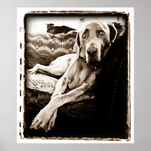 Affiches Cerebellum atomique : Chaise de Ballou