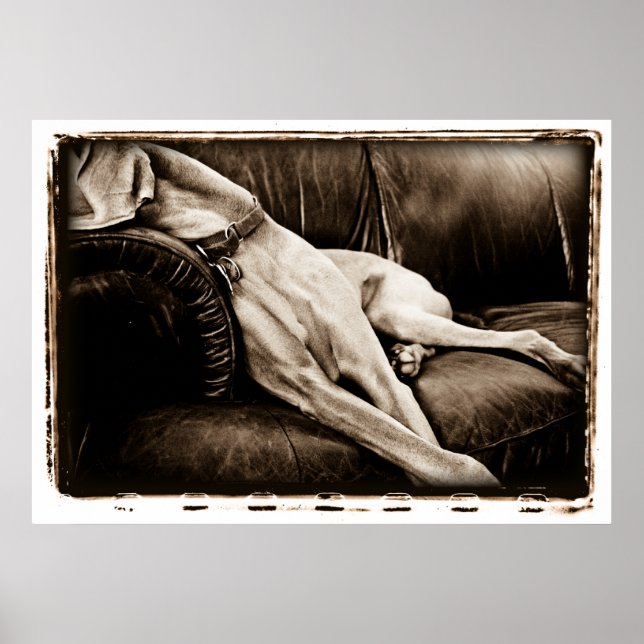 Affiches Cerebellum Atomique : Prise En Charge Du Canapé (Devant)